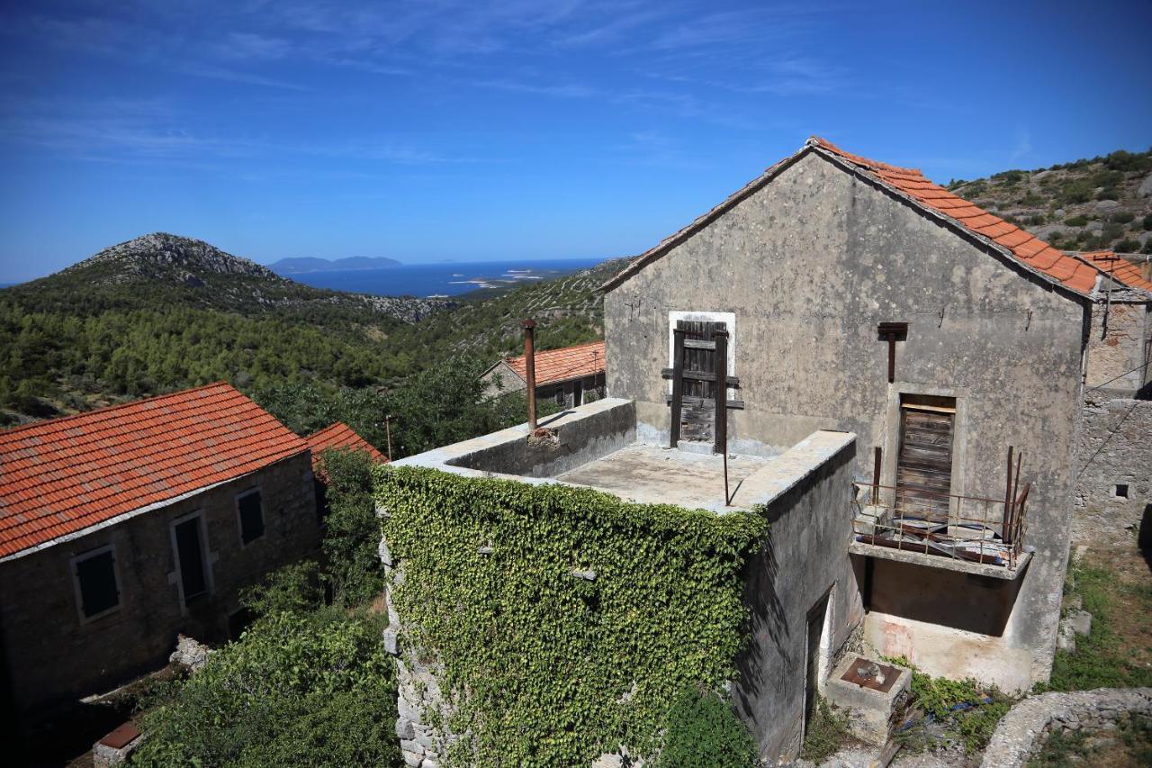 Hidden Peaceful House